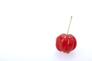 ピタンガ