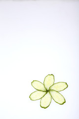 キュウリの花びら