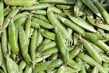 background peppers pea