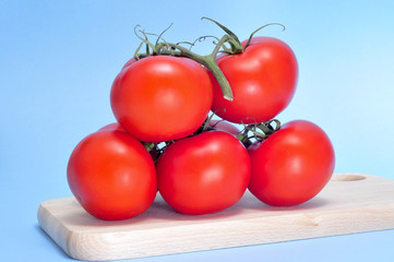 tomatoes