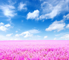Fototapeta premium Landscape