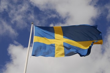 Swedish banner