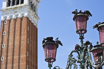 Fototapeta na wymiar Venetian lantern and pigeons