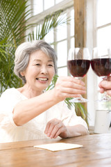 赤ワインで乾杯する老夫婦