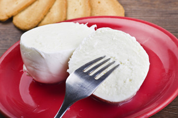 buffalo mozzarella
