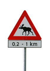 elchwarnschild