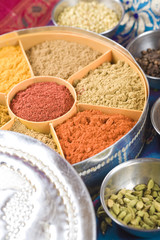 Obraz na płótnie Canvas Indian masala spices