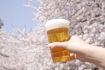 桜の下でビールを持った女性の手元
