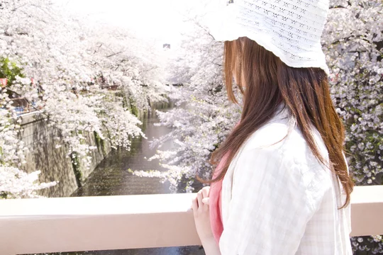 桜を眺める女性の後姿 Stock Photo Adobe Stock 桜を眺める女性の後姿 Stock Photo Adobe Stock