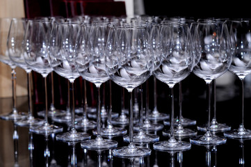 Cocktail Glass Collection