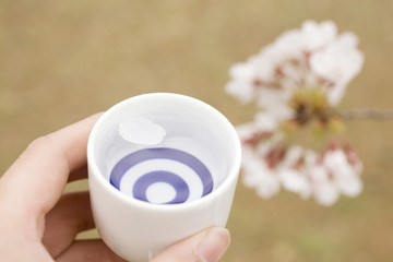 日本酒と桜