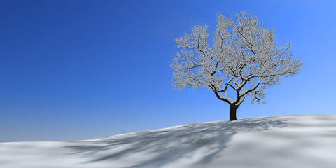 winterbaum 2