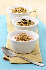 delicious and healthy granola