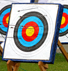 A Round Archery Target with Arrows in it.