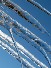 Eiszapfen - icicles