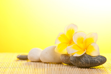 Leelawadee flower and pebbles on bamboo background