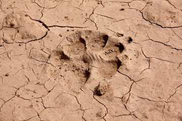 Trockenheit
