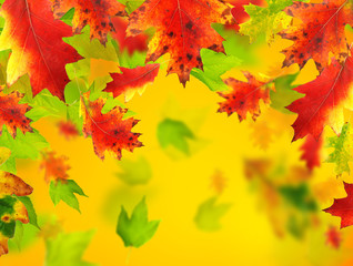 Naklejka na ściany i meble Falling leaves, autumn background