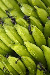 green wet bananas