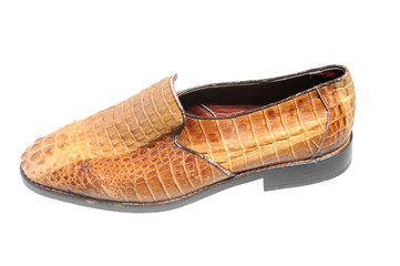 snake leather shoe - illegal endangered species product