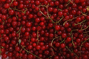 Red currants