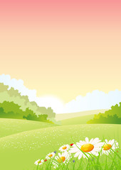 Summer And Spring Flowers Landscape Poster