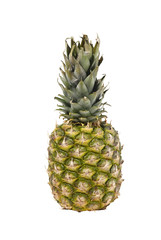 Pineapple (Ananas comosus)