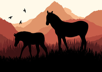 Horse in wild nature landscape