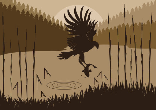 Osprey Hunting In Wild Nature Foliage Illustration