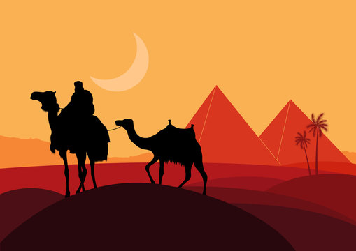 Bedouin camel caravan in wild africa