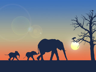 Fototapeta na wymiar Ilustração - família de elefantes a caminhar no deserto em África