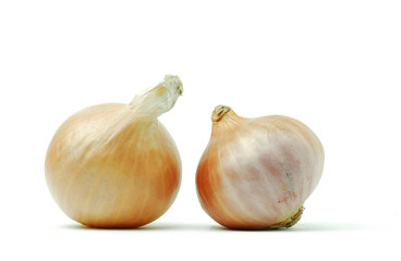 Fototapeta premium onion
