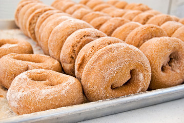fresh sugar donuts