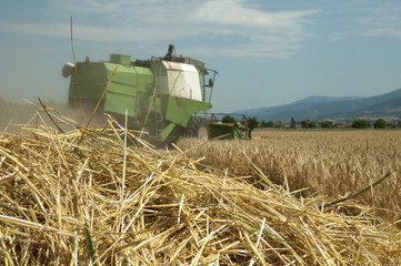 Obraz premium Tractor and combine harvesting