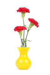 Three carnation flowers in vase