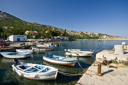 Lukovo Images Browse 63 Stock Photos, Vectors, and Video Adobe Stock