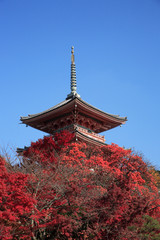 Obraz premium 清水寺三重塔