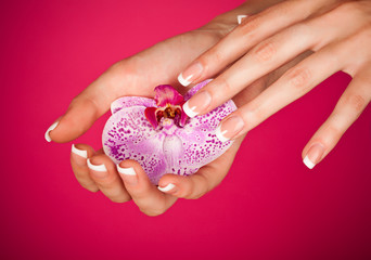 Finger with beautiful manicure touch a wet pink rose