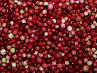 cowberry background