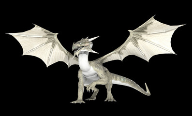 Fototapeta premium White dragon