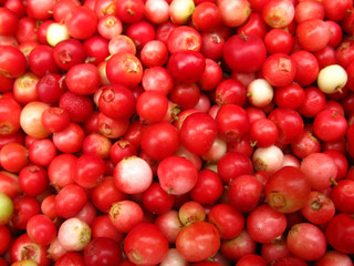 cowberry background