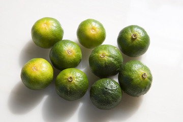 シークワーサーの実