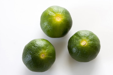 シークワーサーの実