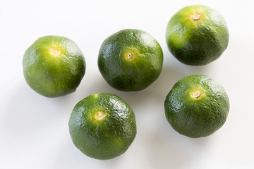 シークワーサーの実