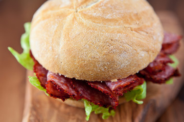 Sandwich with spicy salami