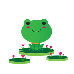 Cute Frog  Character