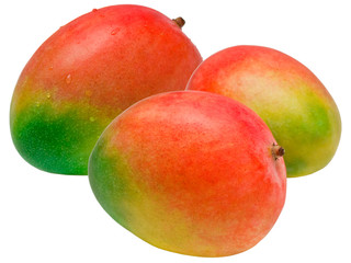 Mango isolated on white background