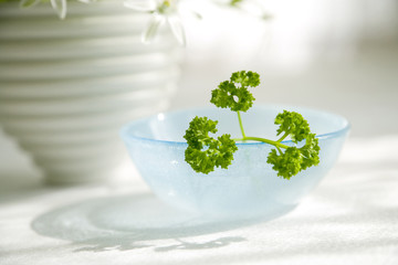 パセリとガラスのボール