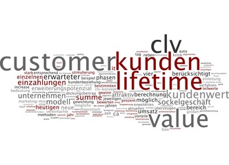 Customer Lifetime Value  CLV