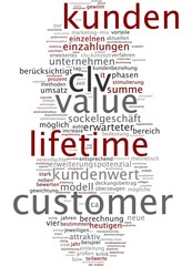 Customer Lifetime Value  CLV